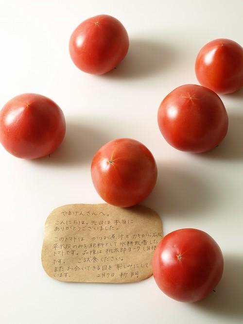 宮崎のトマト農家新門夫妻からいただいたのは 水耕栽培にして有機肥料を用いるトマトであった これは驚き やまけんの出張食い倒れ日記