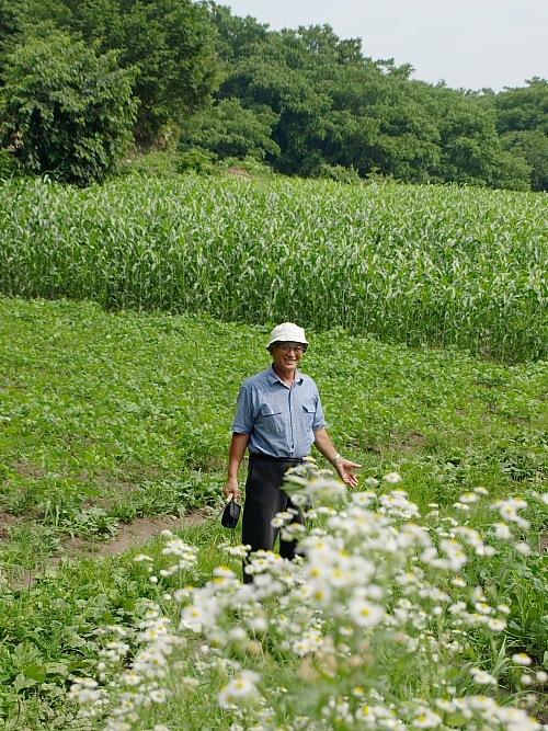 畑と高村さん