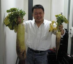 daikon2-s.jpg