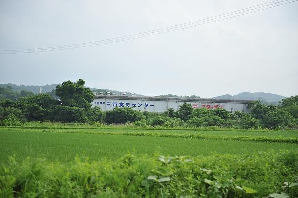 D70_0208.jpg