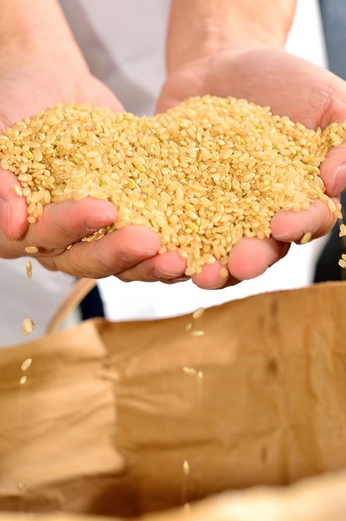 原料となる無農薬米