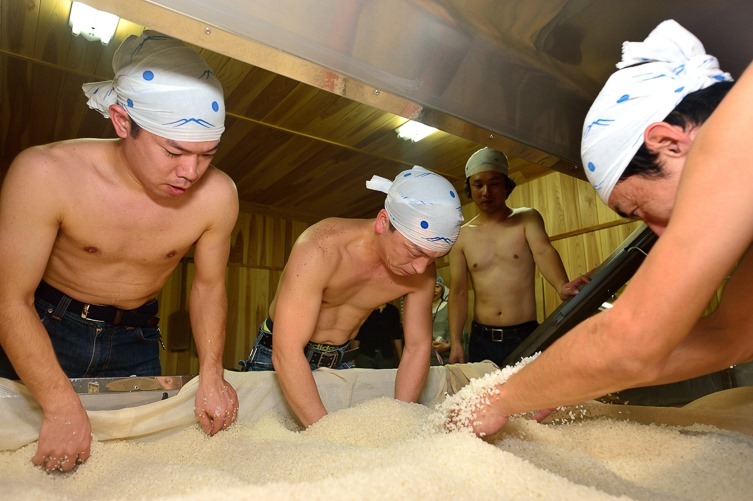 蔵人全員で麹の切り返し。まるで日本酒蔵だ。