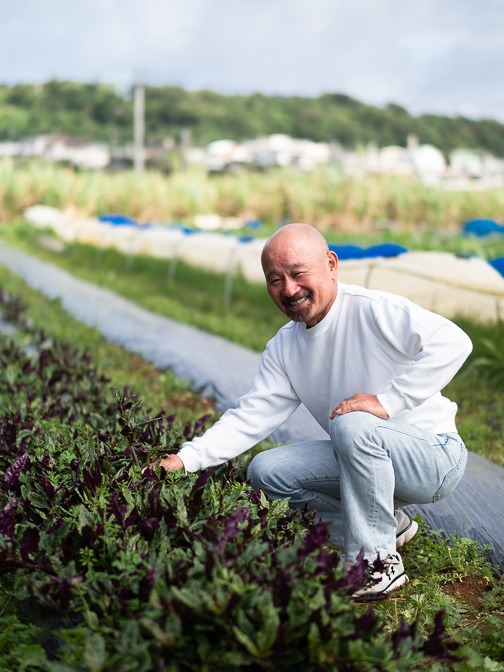 沖縄に来ています 糸満に島野菜の名人 玉城さんのハンダマ ニガナ ゴーヤー畑を訪ねる やまけんの出張食い倒れ日記