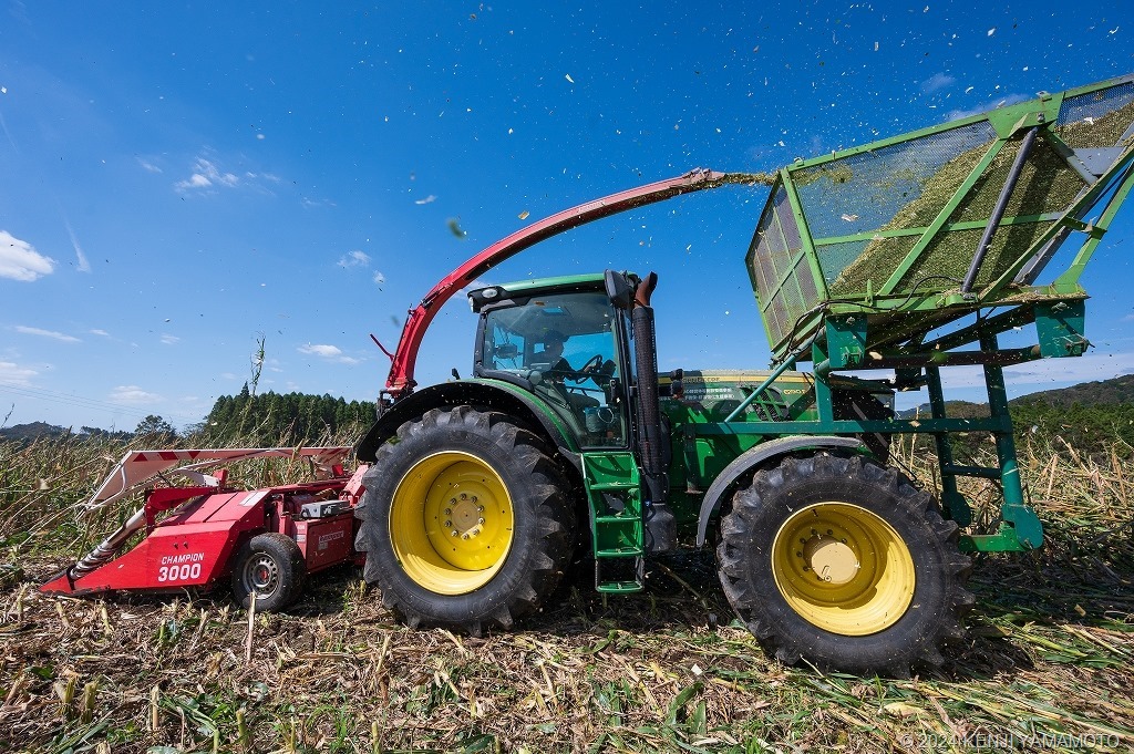 20221028puruci360トウモロコシ収穫シーン