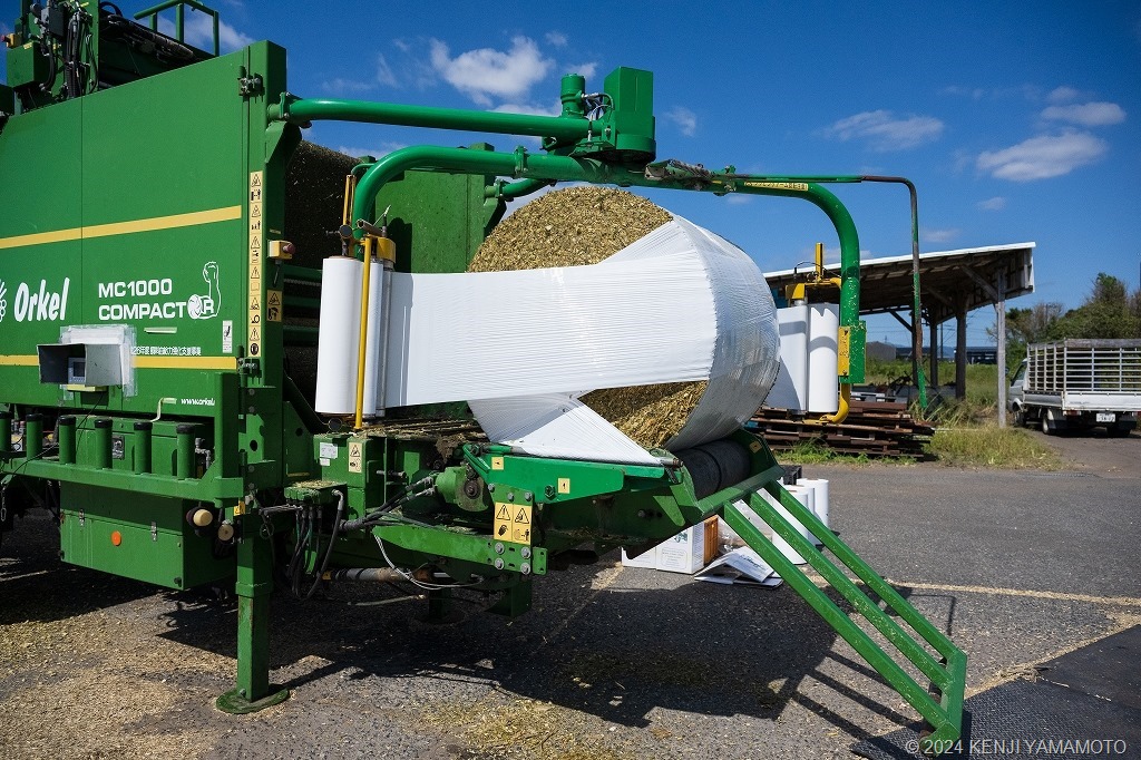 20221028puruci388トウモロコシを破砕してラップしているところ