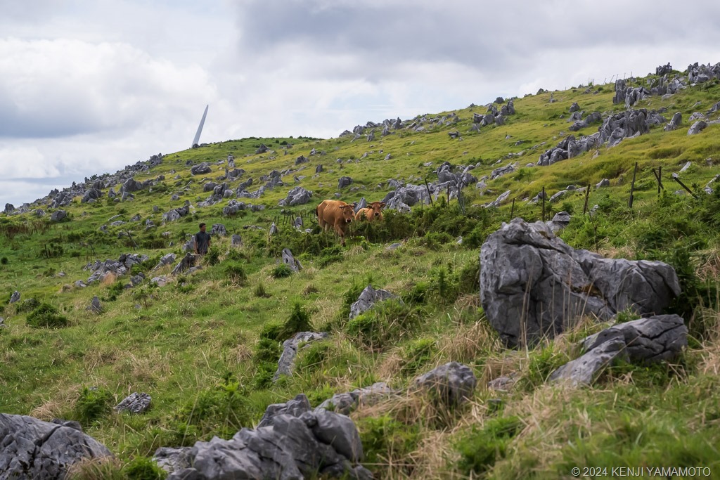 20240820140520_001 (2)