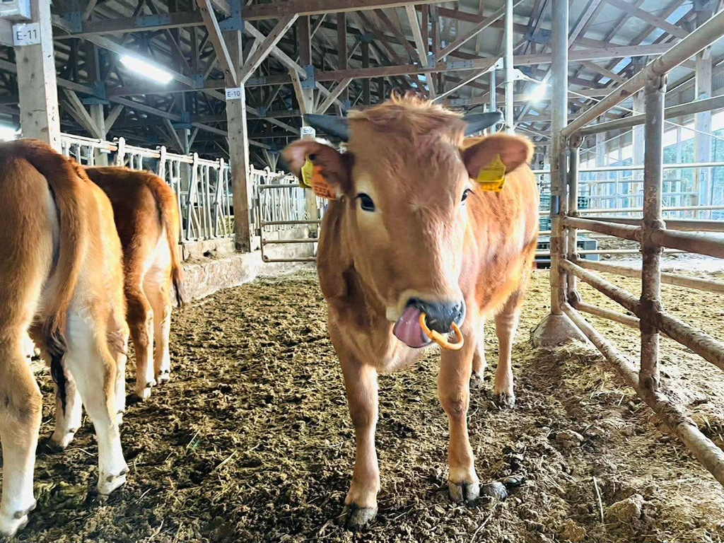 5f0994b6-52c3-4e99-94f0-ad5337db11b7