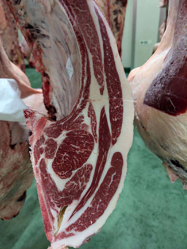 c439ee45-f6e4-4686-bf0c-45214c6bab64