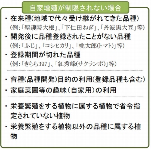 種苗 法 柴咲 コウ