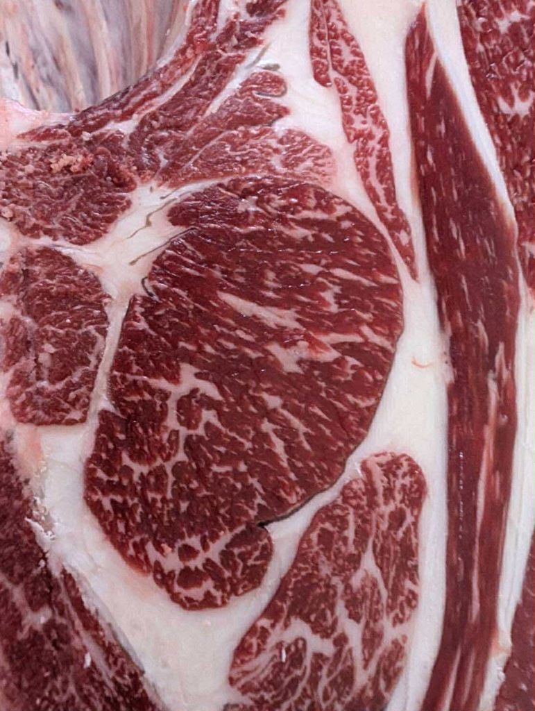 e90d53fa-8afd-4572-896e-4af3987cc297