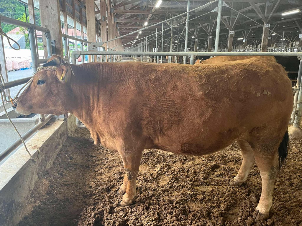 eacad78c-bfe4-464b-9287-340387719374